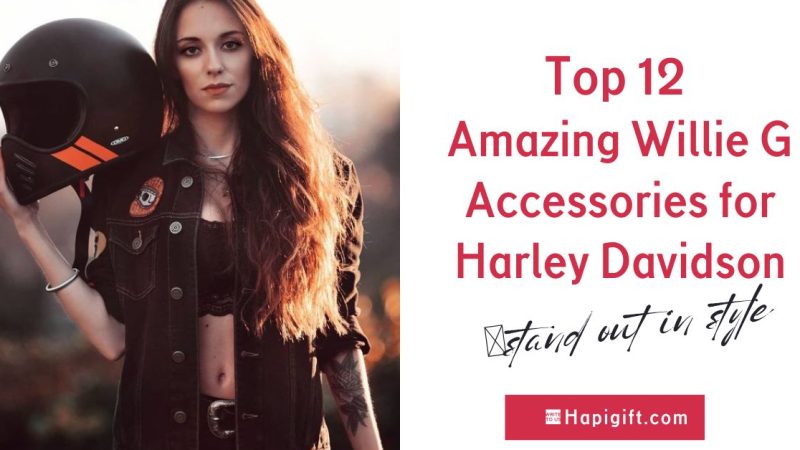 12 Amazing Willie G Accessories for Harley Davidson