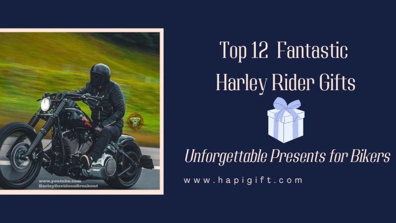 Top 12 Fantastic Harley Rider Gifts