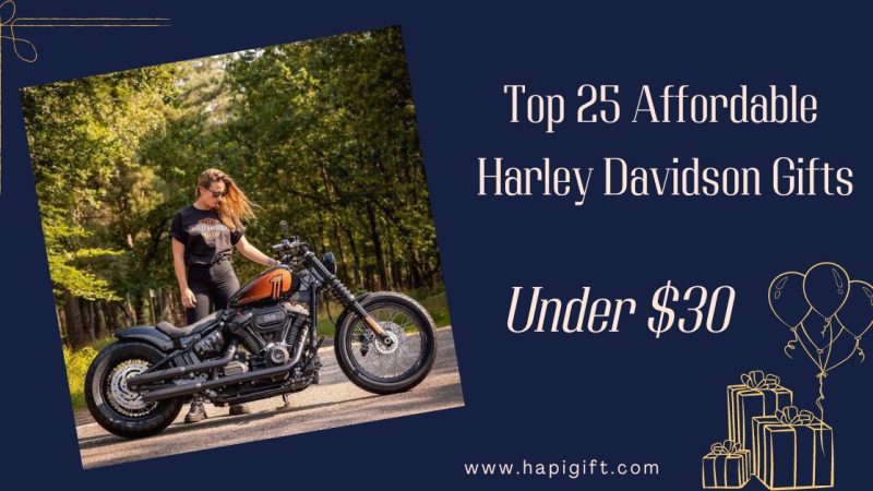 Top 25 Harley Davidson gift under 30