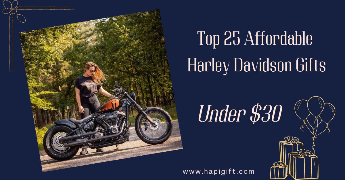 Celebrate Biker Spirit: 25 Affordable Harley Davidson Gifts, Under $30