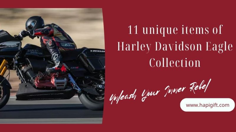 11 unique items of Harley Davidson Eagle Collection